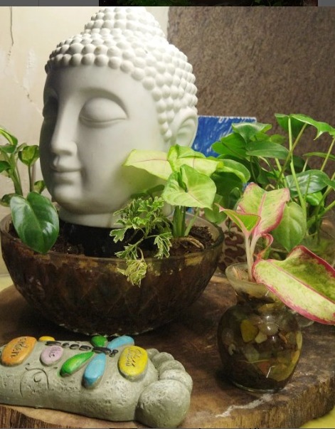 Terrarium-6